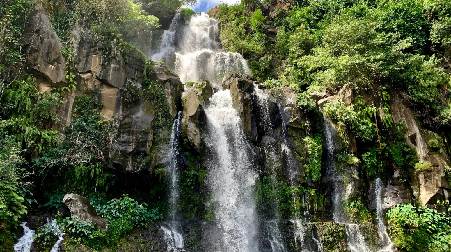 Cascade majestueuse entourée d'une végétation luxuriante et verdoyante, évoquant un cadre enchanteur.