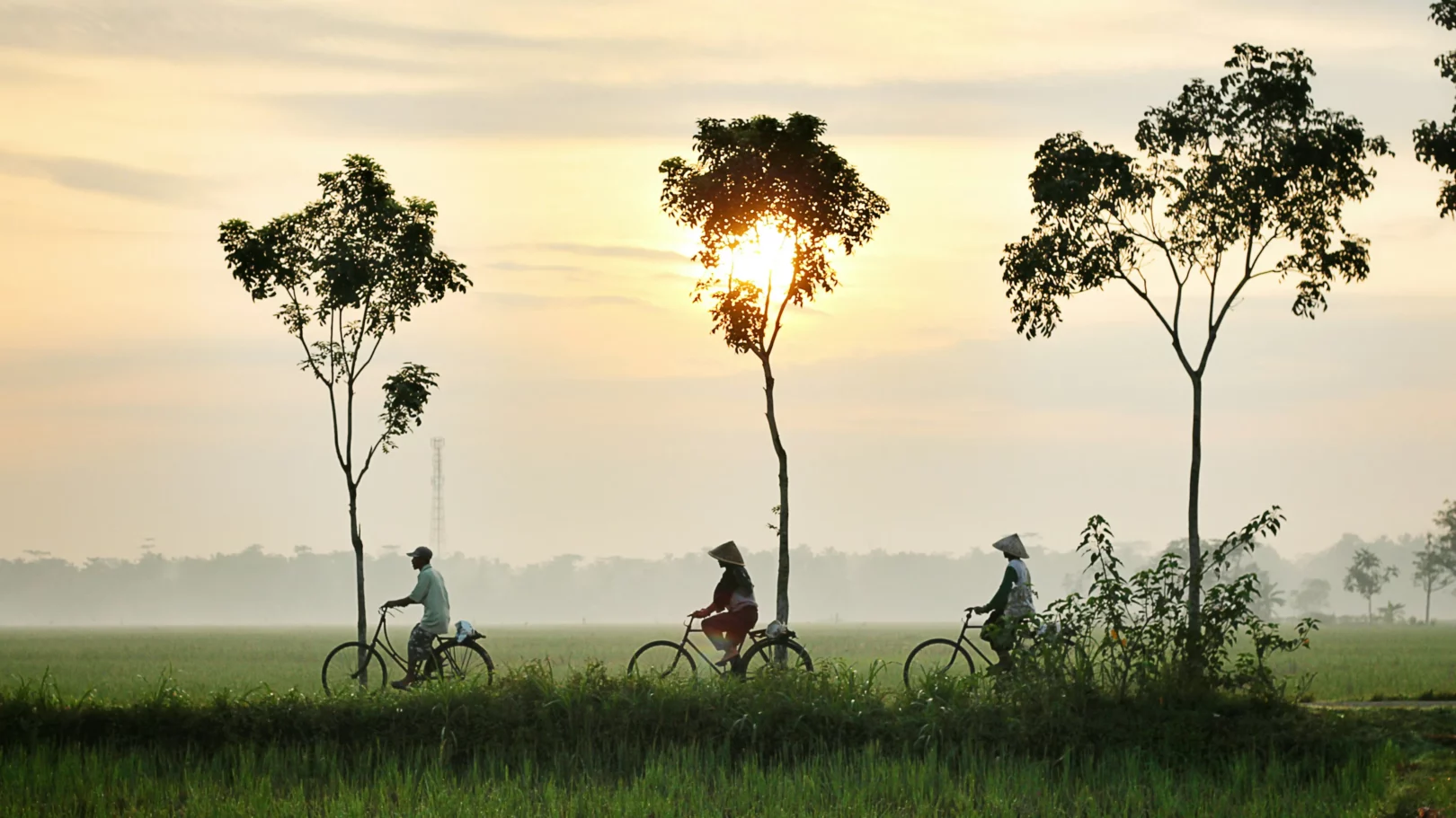 Bali, scène apaisante de cyclistes traversant des rizières luxuriantes au lever du soleil, une invitation à l'évasion.