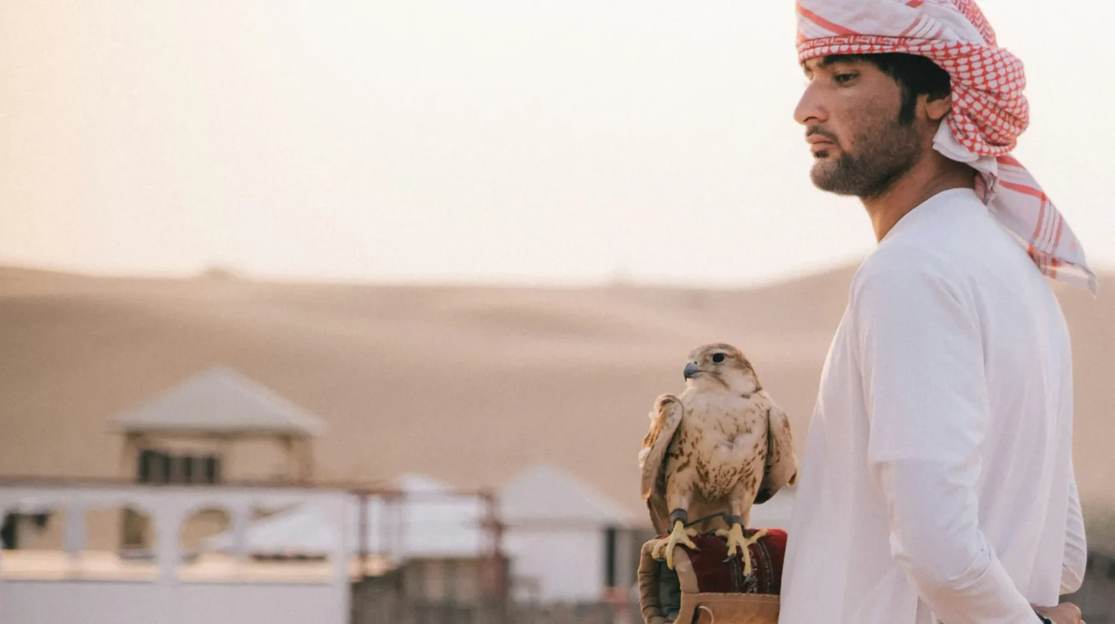 Homme en tenue traditionnelle arabe tenant un faucon dans le désert des Émirats arabes unis