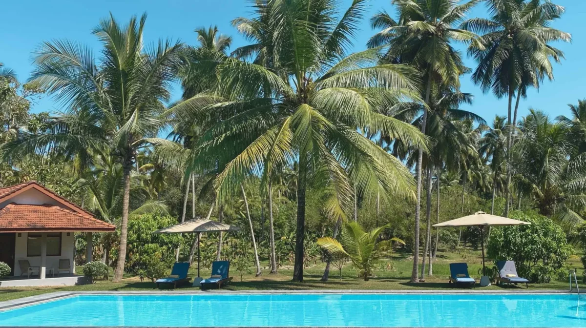 bord de piscine dans un hotel au sri lanka au milieu de la nature