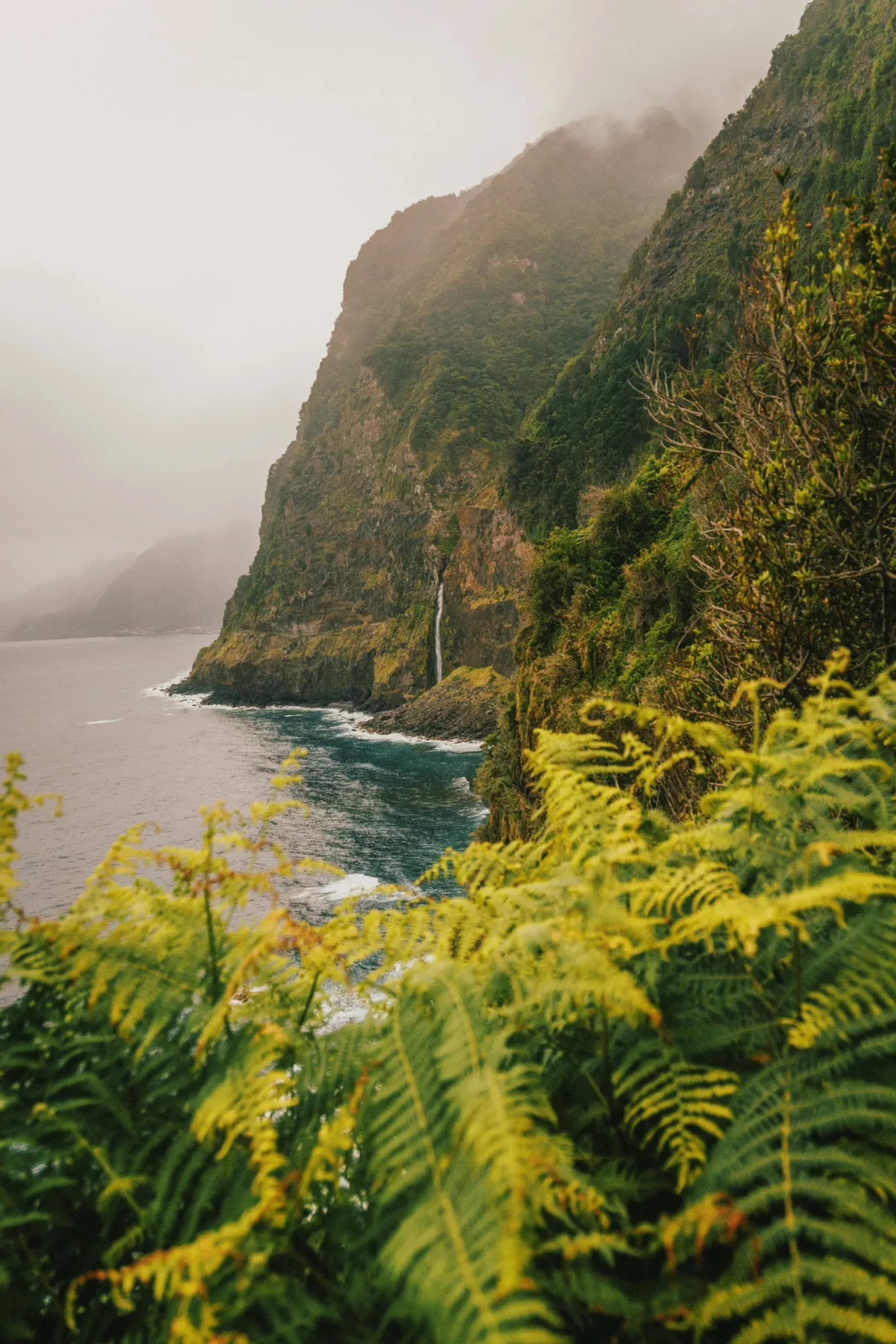 Côte sauvage et verdoyante surplombant l'océan, un paysage époustouflant et serein à l'ile de la réunion.