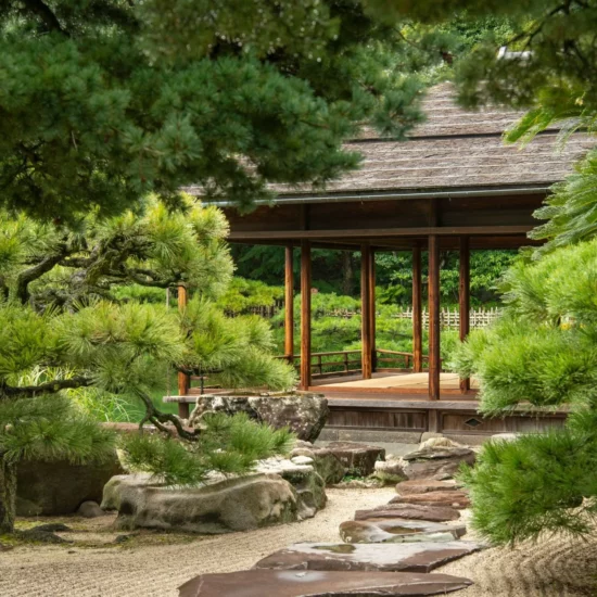 Pavillon traditionnel japonais en bois entouré de pins et d’un jardin zen avec sentier de pierres, au bord d’un étang paisible.