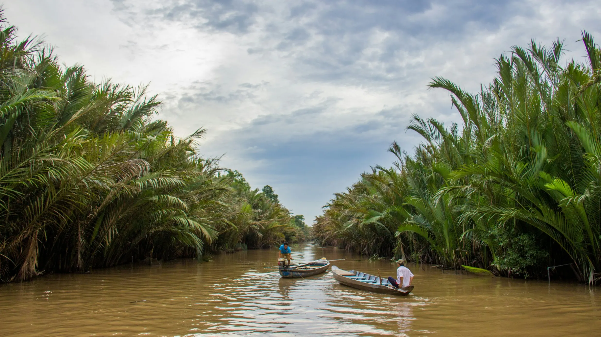 Rivière paisible entourée de palmiers verdoyants, idéale pour une aventure pittoresque.
