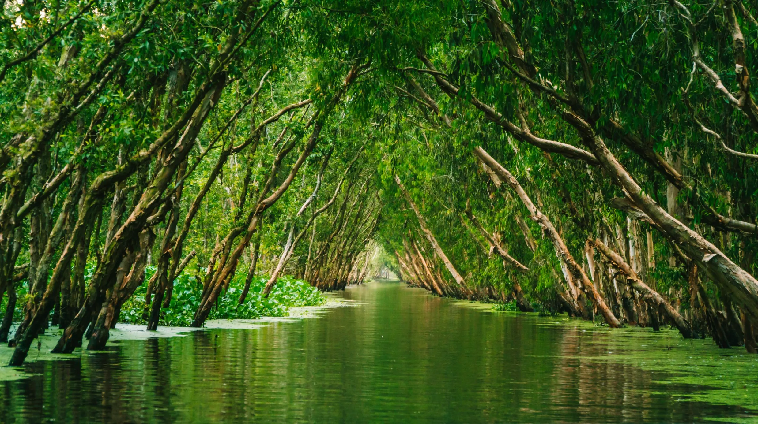Au fil de l’eau: de Saïgon à Siem Reap