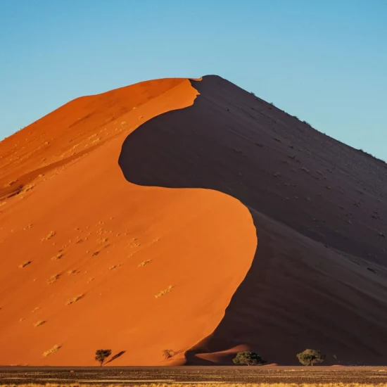 Dune de sable spéct