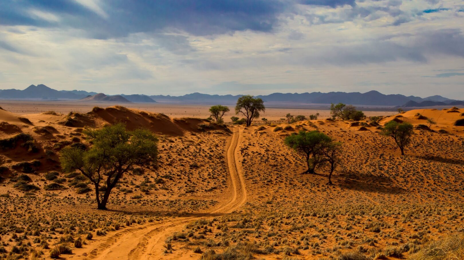 Namibie — un paysage époustouflant où les dunes dorées rencontrent un ciel infini, invitant à l'aventure et à la découverte.