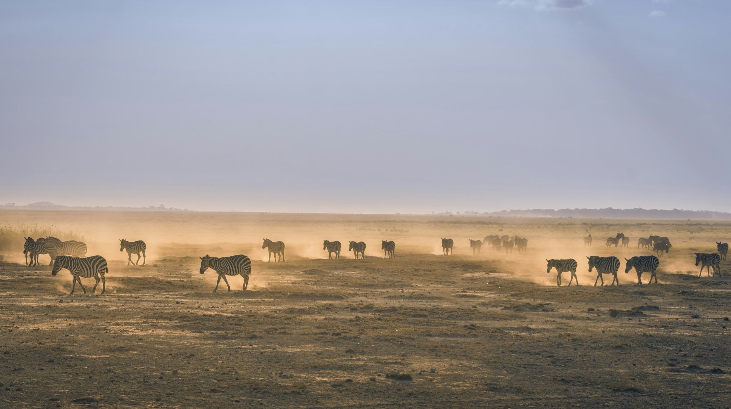 Evasion namibienne