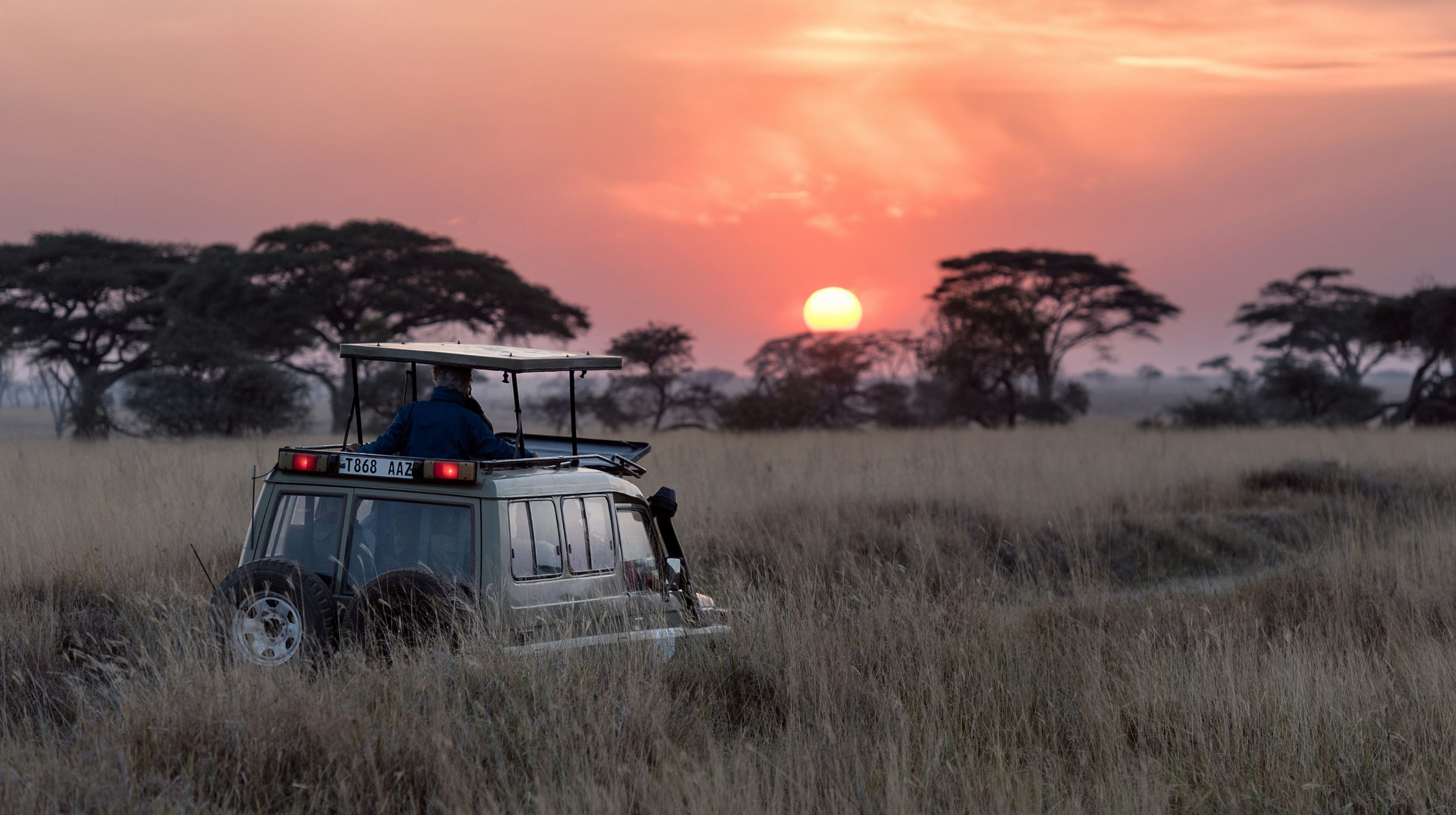 Soleil couchant sur la savane, Afrique du Sud — un moment époustouflant au cœur de la nature sauvage.