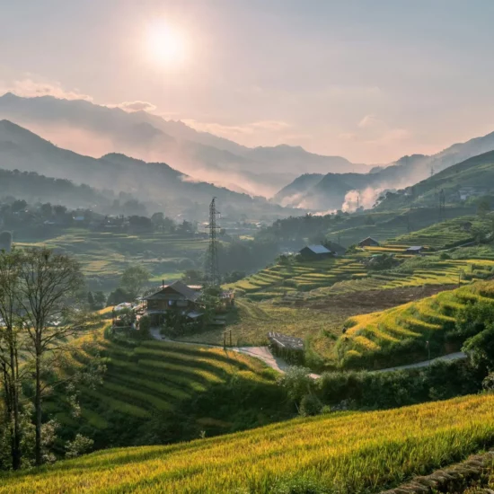 Rizières en terrasses, Vietnam — paysage époustouflant baigné par la lumière dorée du soleil levant.