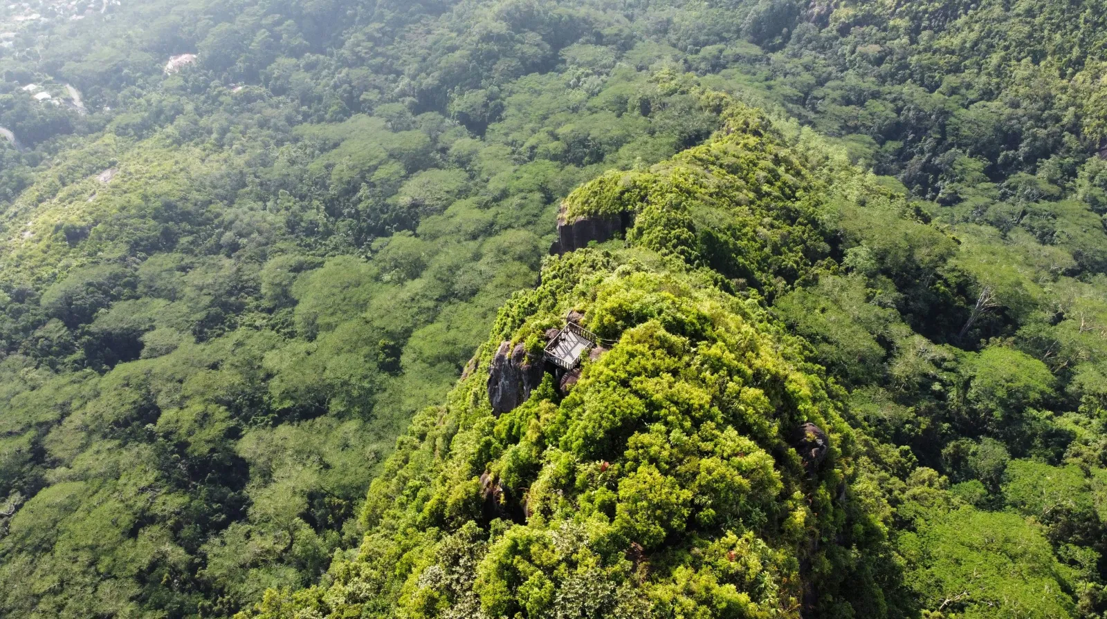 Vue spectaculaire sur le Morne Blanc aux Seychelles, une végétation luxuriante depuis un sommet, offrant un panorama apaisant.