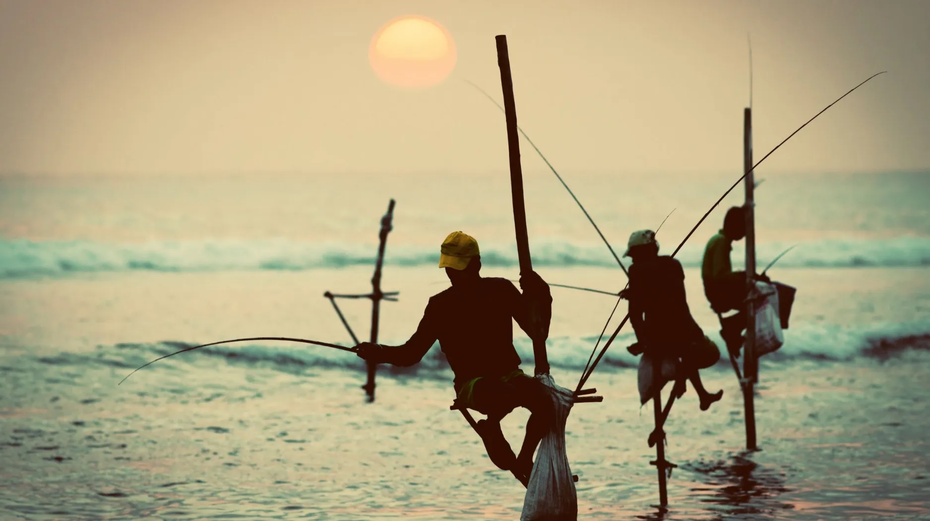 « Take it Easy « au Sri Lanka