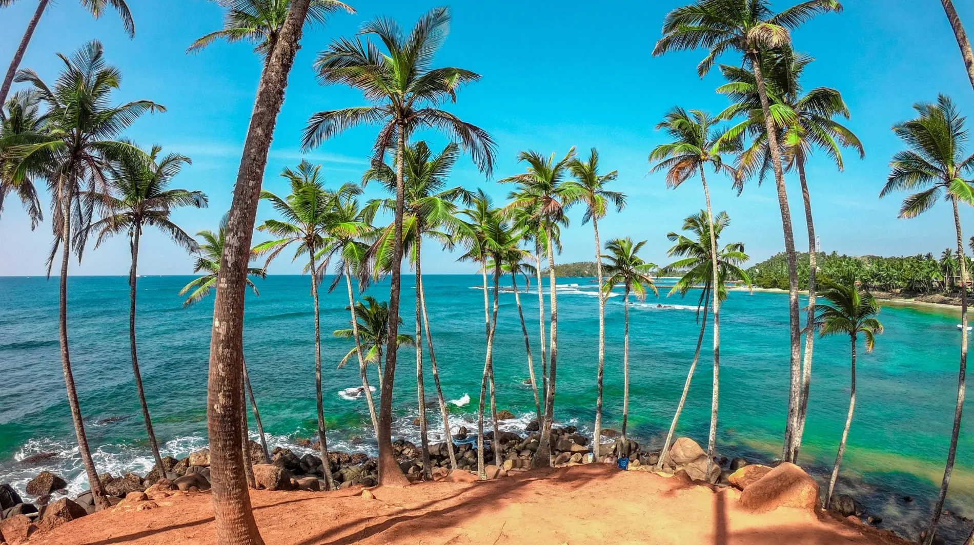 Plage ensoleillée avec palmiers, Sri Lanka — une vue tropicale apaisante sur l'océan turquoise.