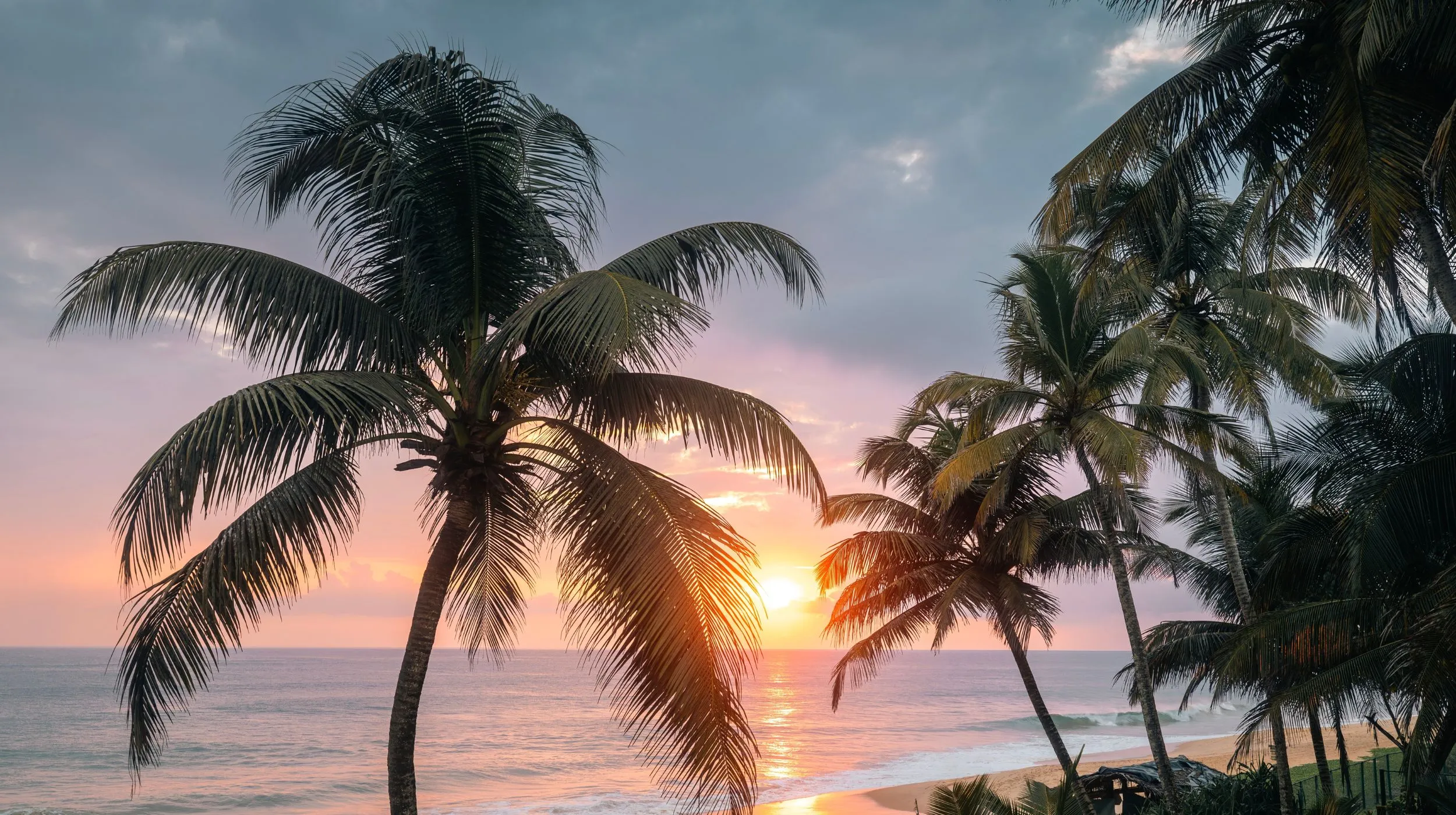 Coucher de soleil tropical sur l’océan Indien avec palmiers à la plage, Sri Lanka et Maldives