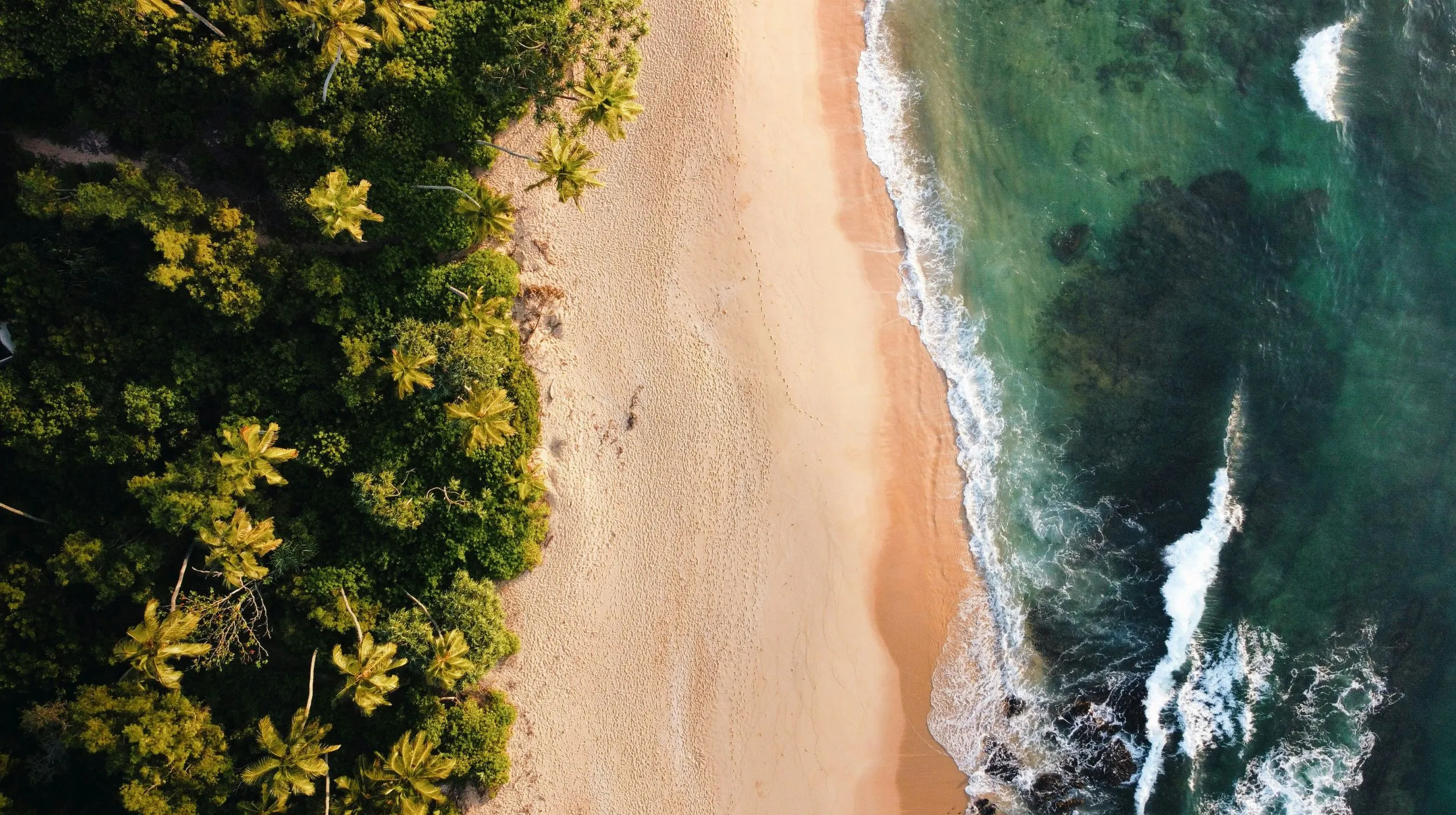 Les plus belles plages du Sri Lanka : laquelle choisir selon votre style de voyage ?