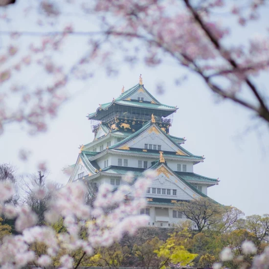 Japon & Corée