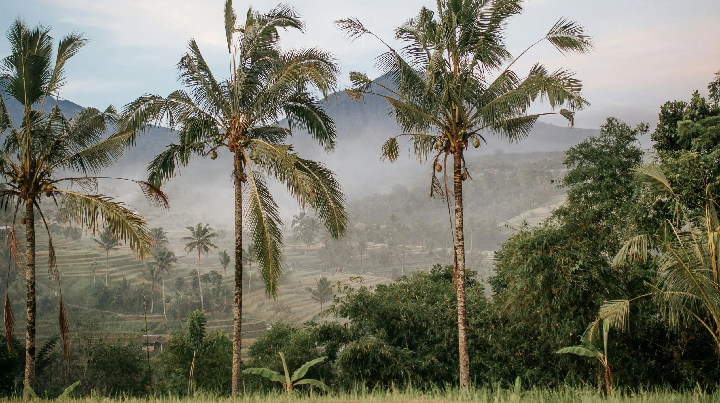 Aux confins de Bali