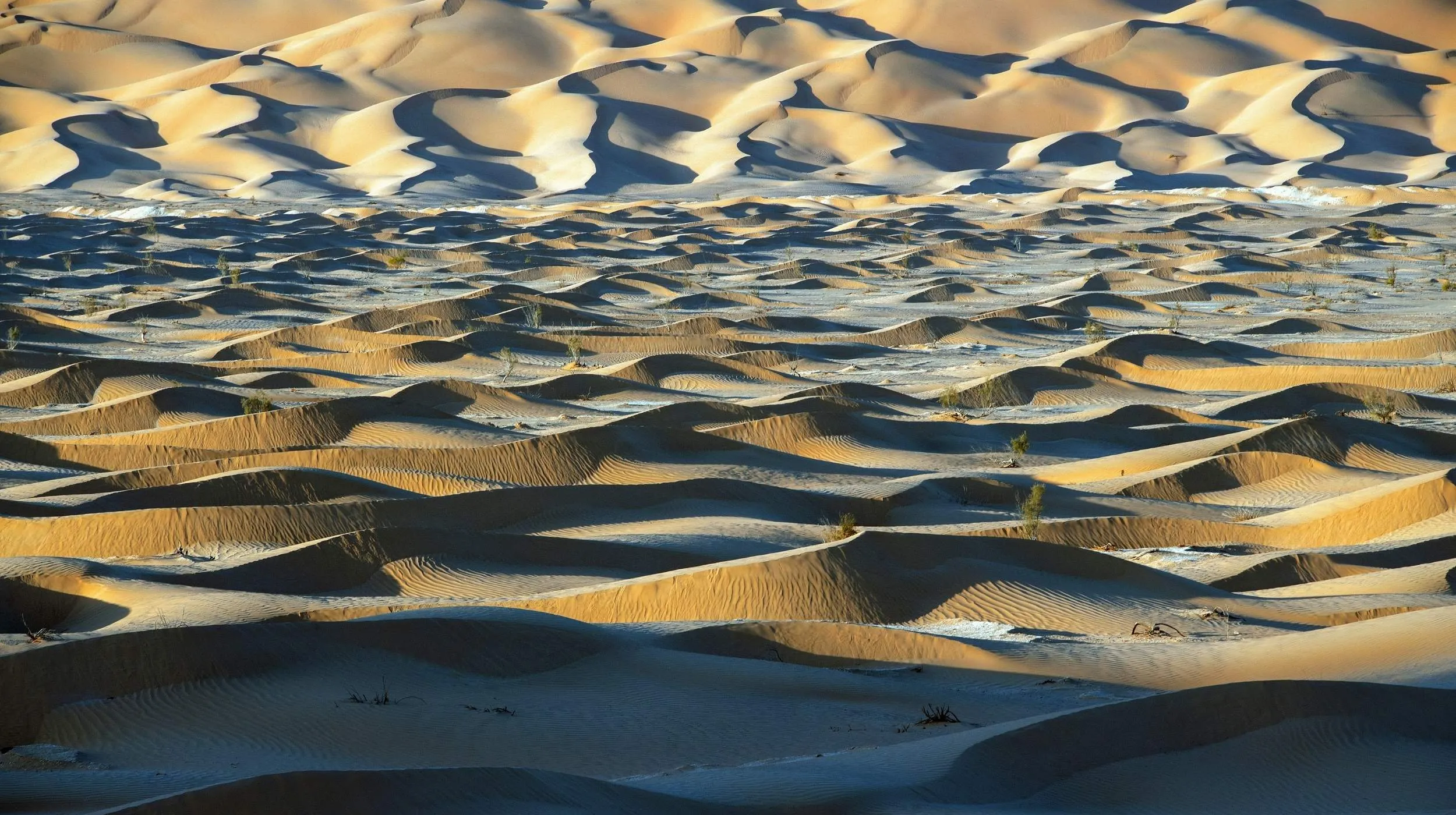 wahiba sands à oman