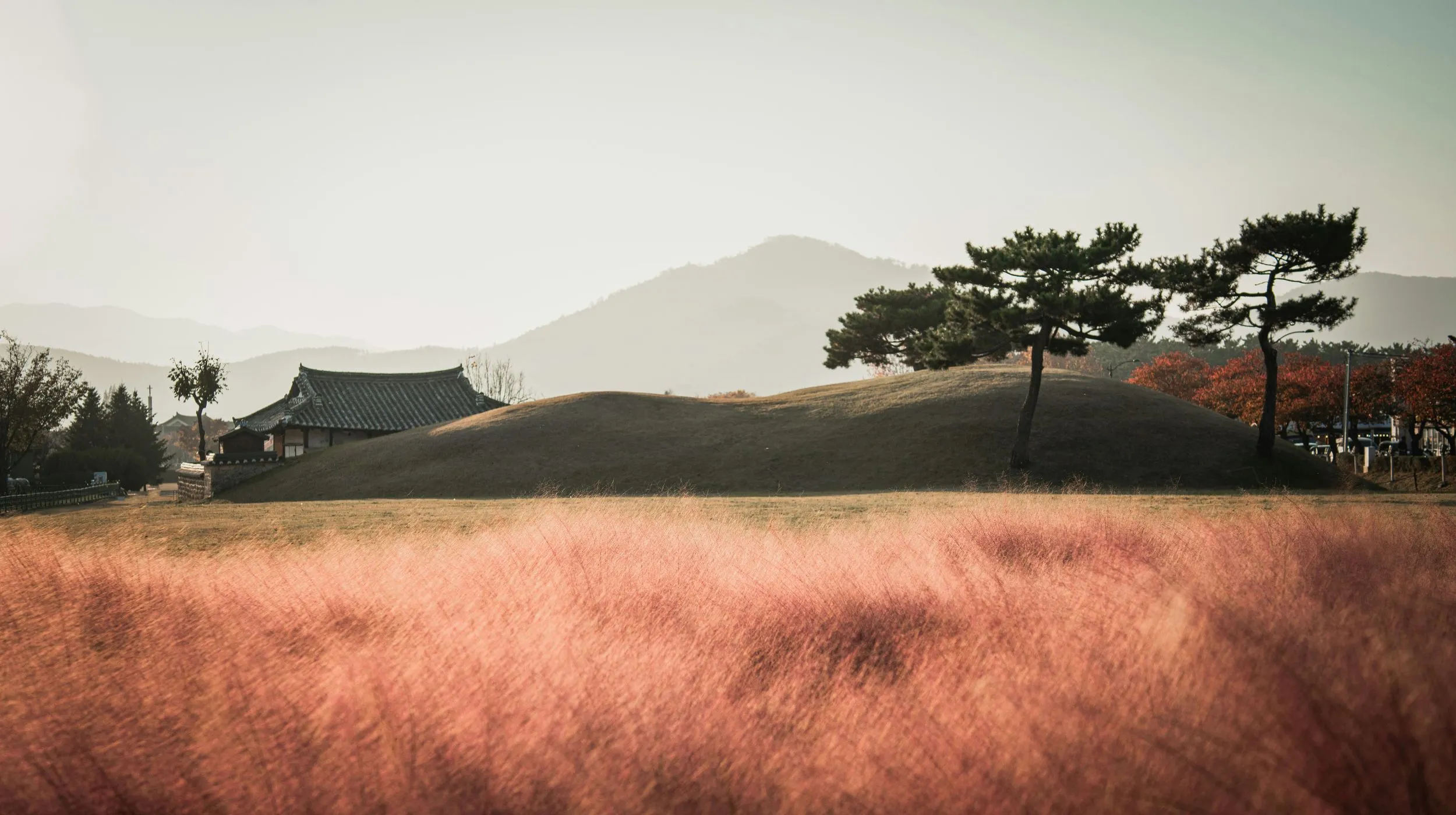 Paysage paisible avec une maison traditionnelle et des collines, entouré d'une végétation colorée.