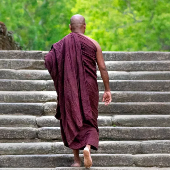 Moine marchant sur des escaliers en pierre dans un cadre verdoyant et paisible, évoquant une atmosphère spirituelle.