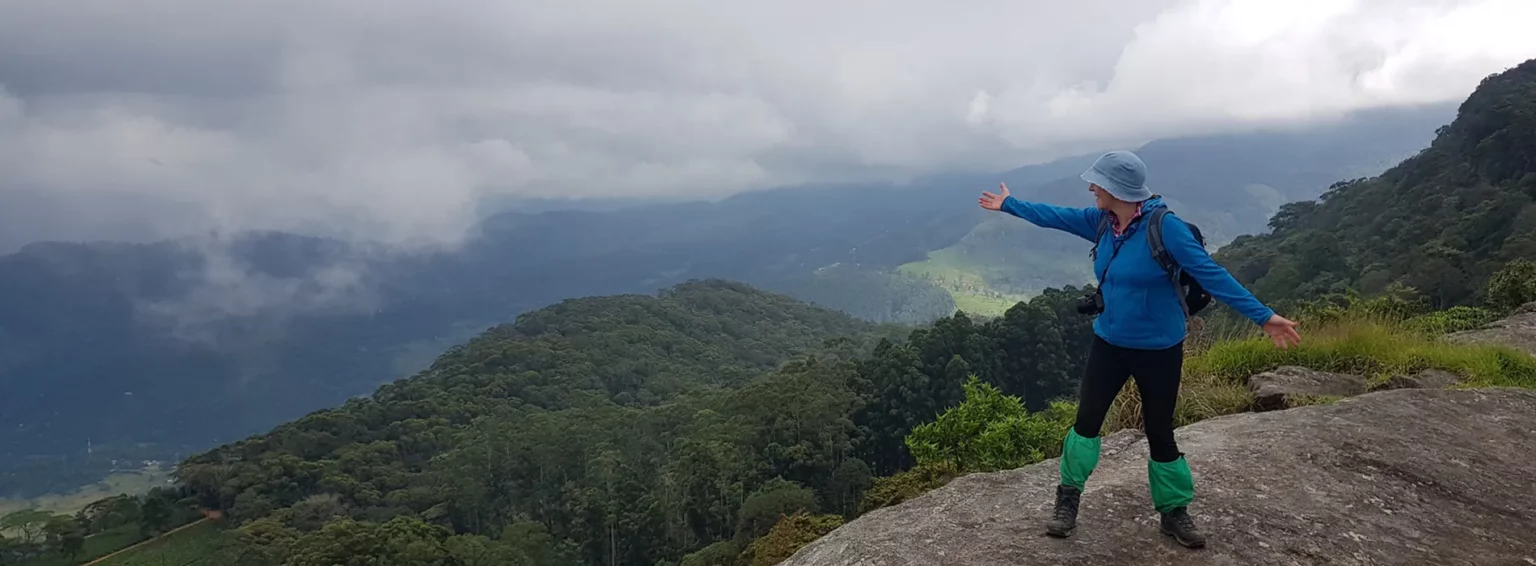 Vue spectaculaire sur les montagnes verdoyantes et embrumées, invitant à l'aventure en pleine nature.