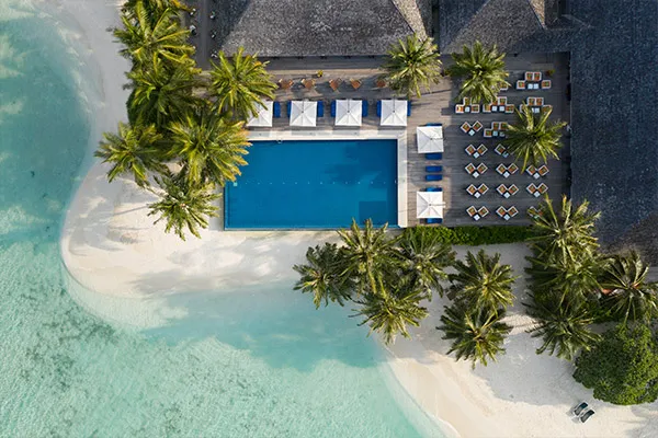 Piscine entourée de palmiers sur une plage de sable blanc, ambiance paradisiaque.