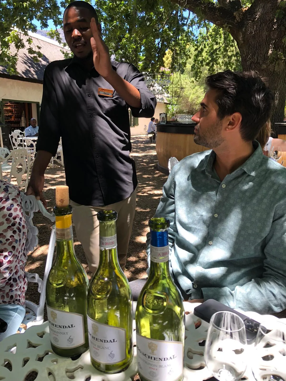 Dégustation de vins en plein air, Afrique du Sud — ambiance conviviale sous un arbre majestueux.