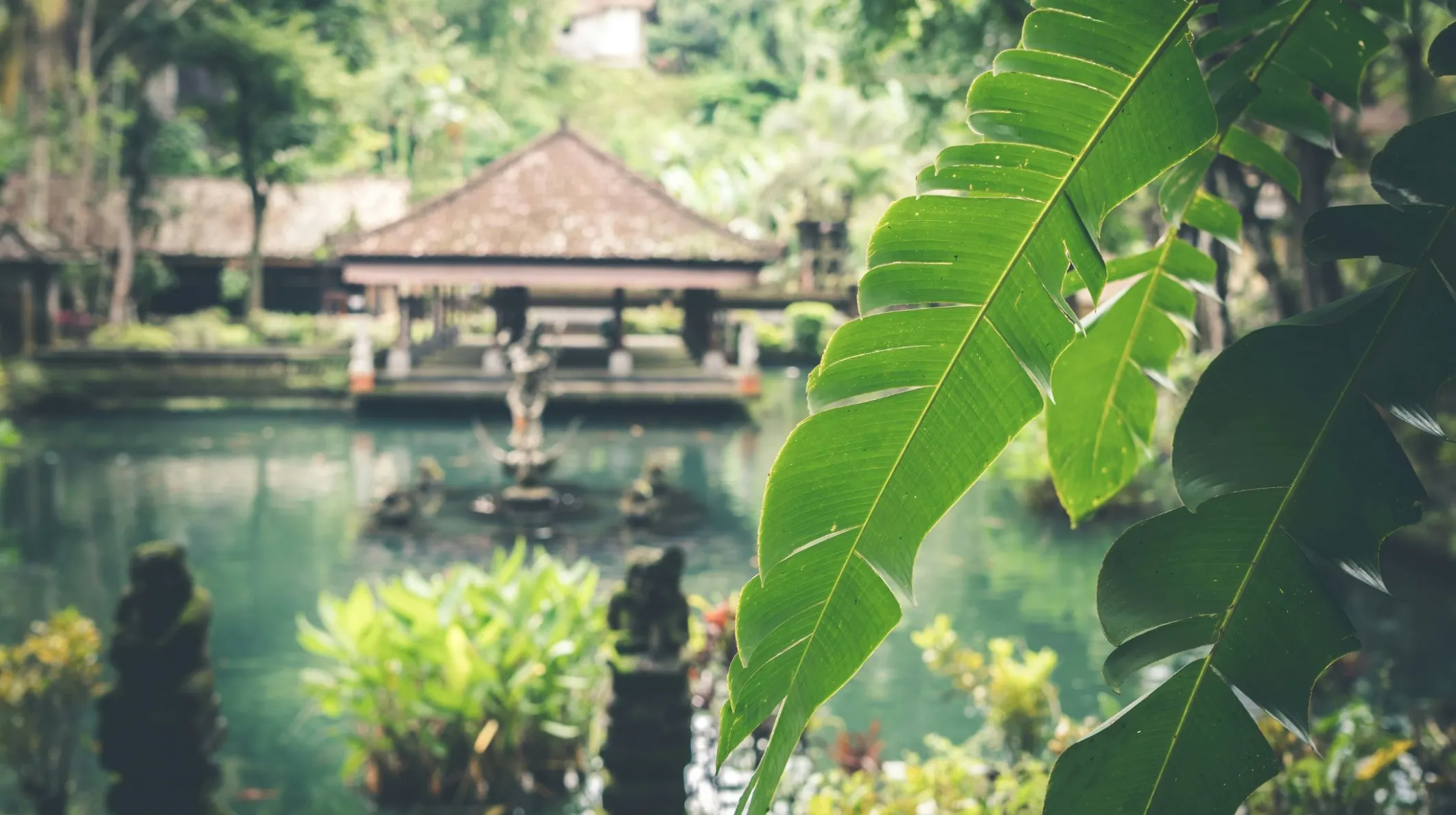 Jardin luxuriant avec un étang paisible, entouré de végétation tropicale et d'une architecture traditionnelle balinaise.