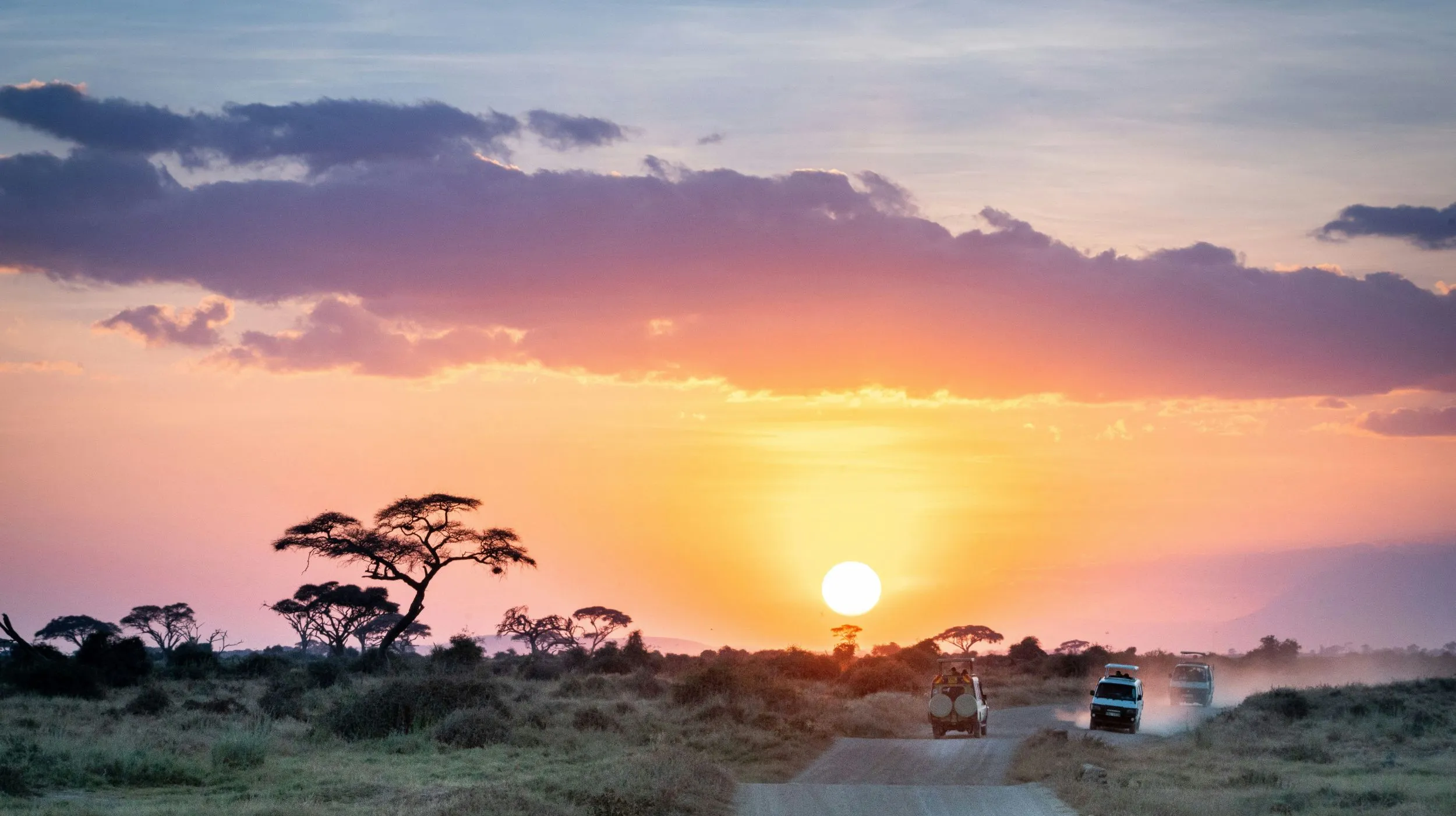 Coucher de soleil spectaculaire sur une route d'Afrique, entouré de savane et d'acacias majestueux.