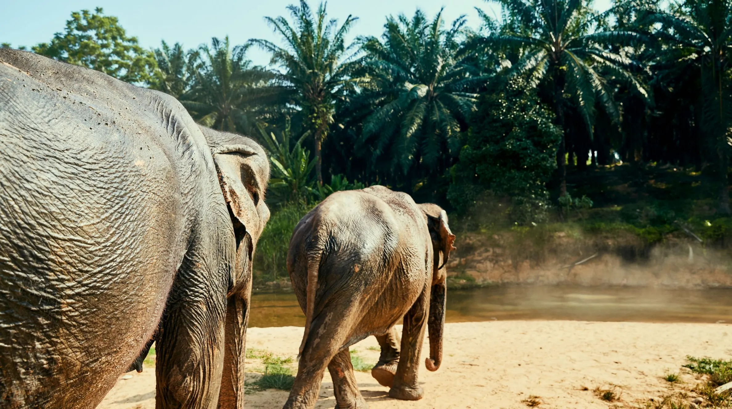 Vacances de Pâques au Sri Lanka