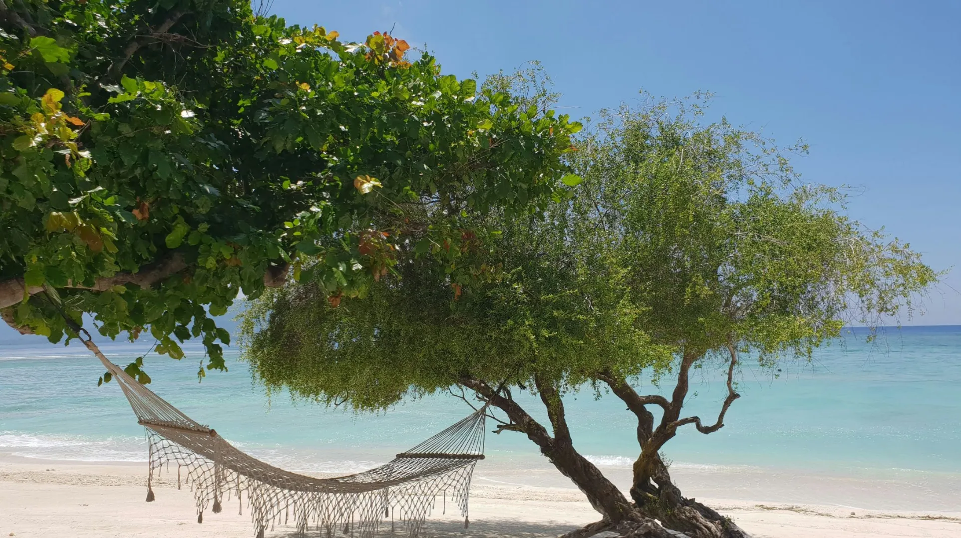 Plage paisible sur les îles Gili à Bali avec un hamac suspendu entre deux arbres, entourée d'une mer turquoise et de ciel dégagé.