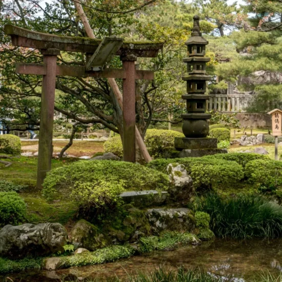 Jardin paisible avec un torii et un lanternon, entouré de verdure luxuriante et de rochers apaisants.