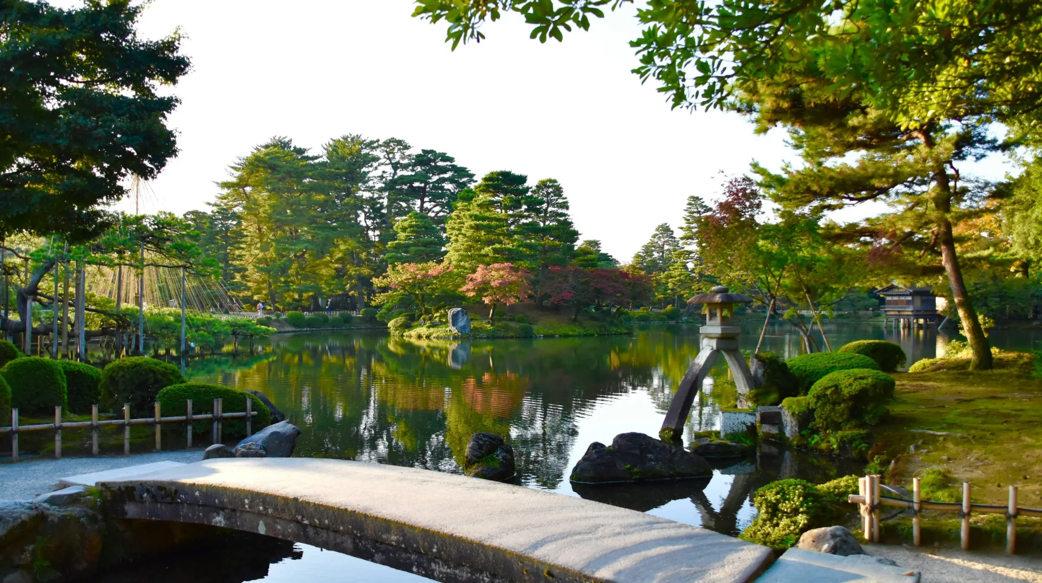 Jardin paisible avec étang et verdure luxuriante, offrant une atmosphère enchanteur.