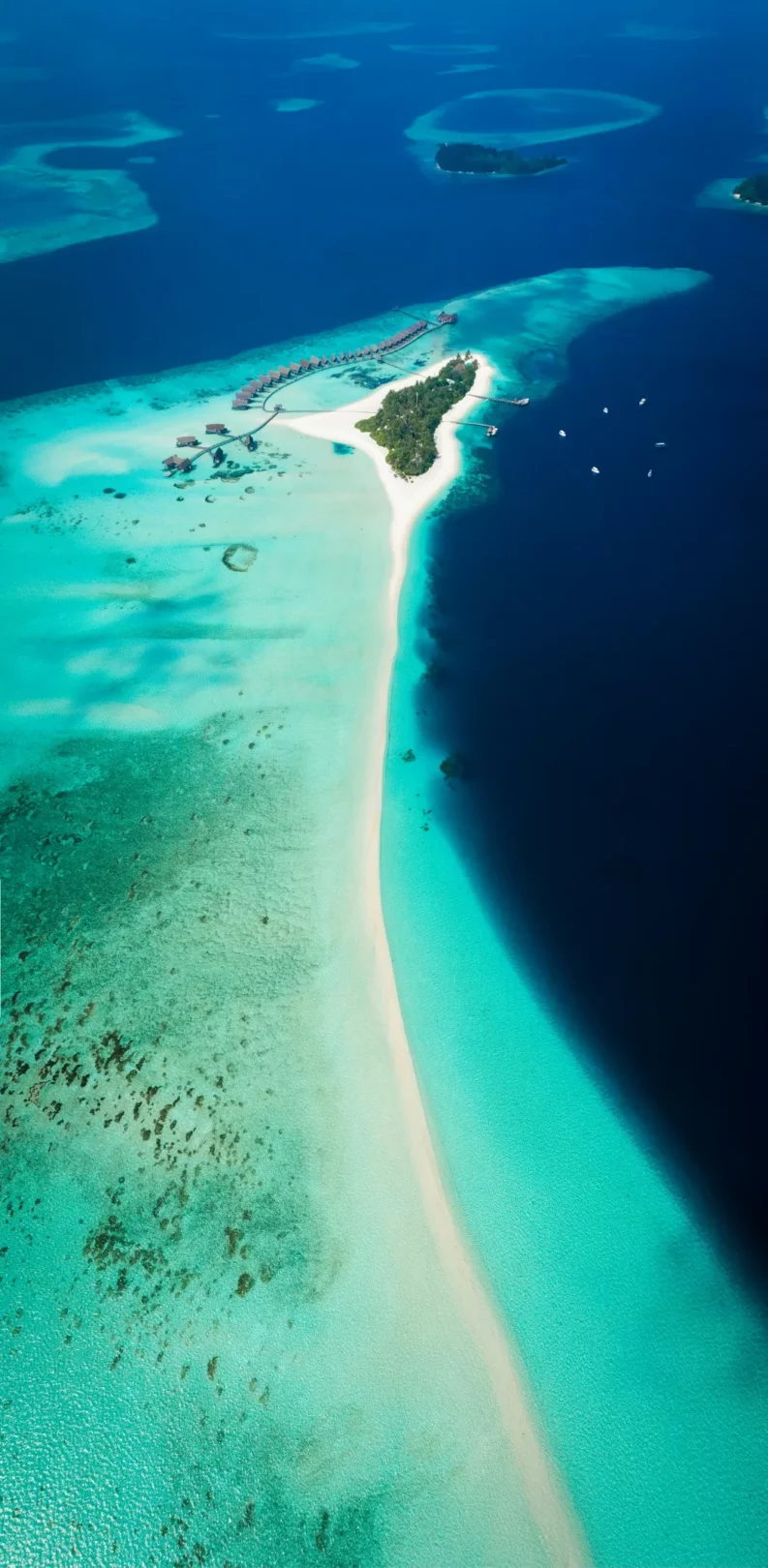 Vacances aux Maldives— Plage de sable blanc bordée d'eaux turquoise et d'une végétation luxuriante.