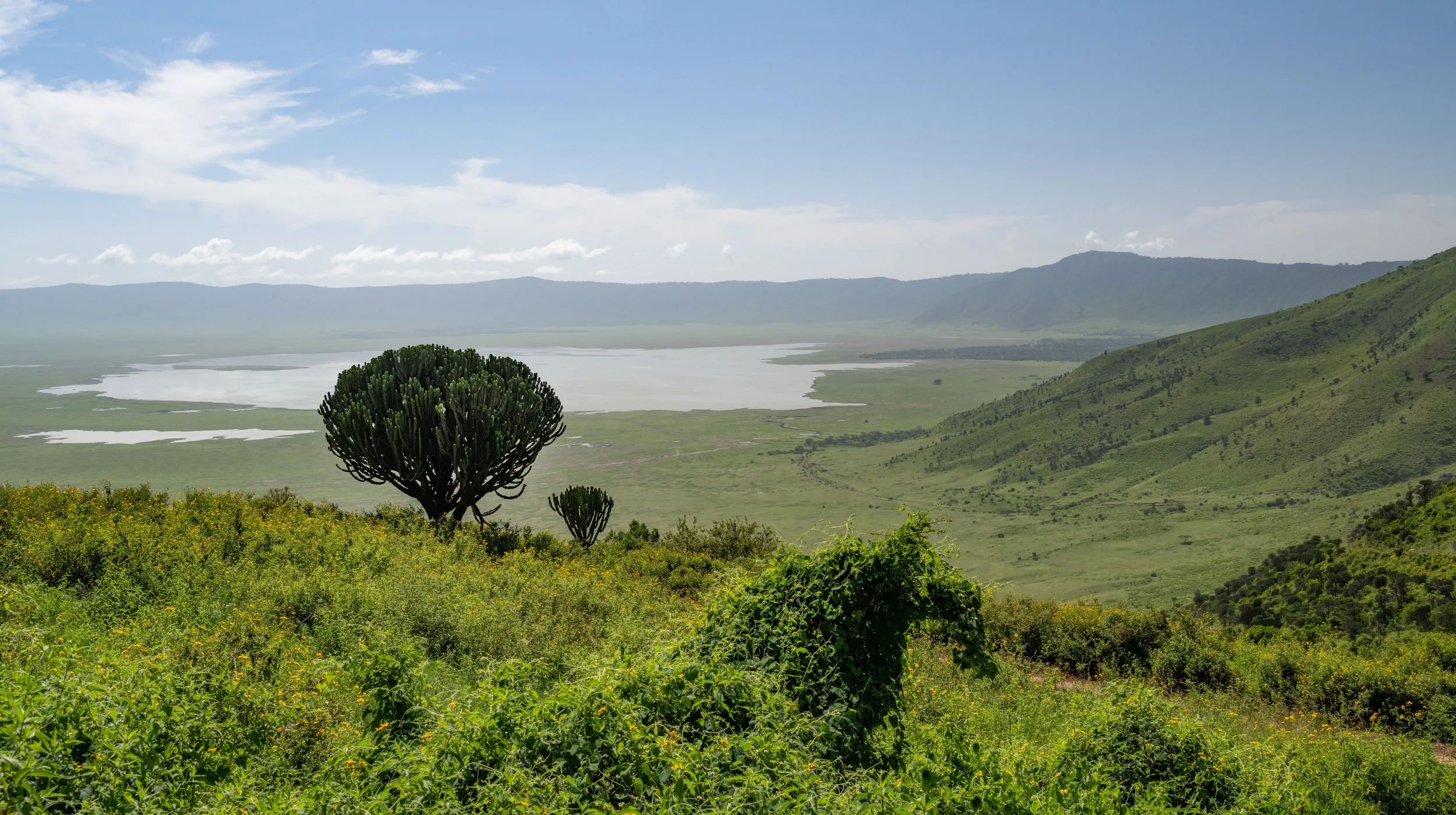 Ngorongoro, Tanzanie — un panorama époustouflant où nature sauvage et tranquillité se rencontrent pour une aventure inoubliable.