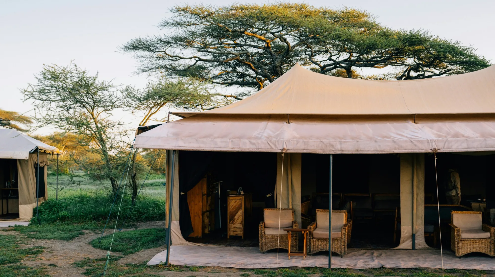 Tente de safari dans un cadre sauvage et paisible, entourée d'une nature luxuriante.