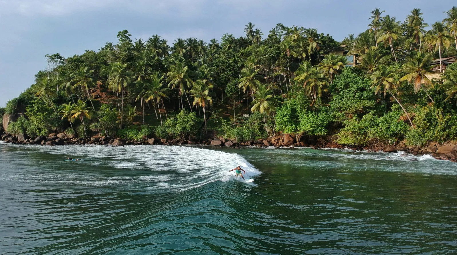 Surf sur une vague cristalline, entouré de palmiers luxuriants et d'une nature préservée.
