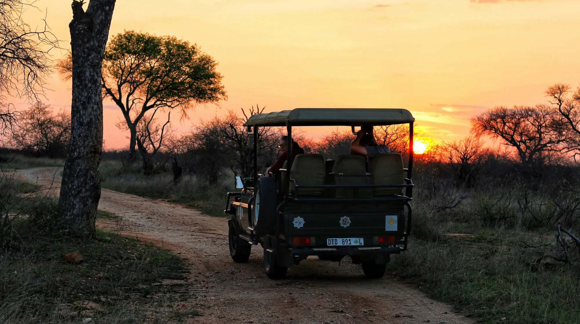 Safari au coucher de soleil — paysage sauvage et apaisant, offrant une expérience inoubliable en pleine nature.