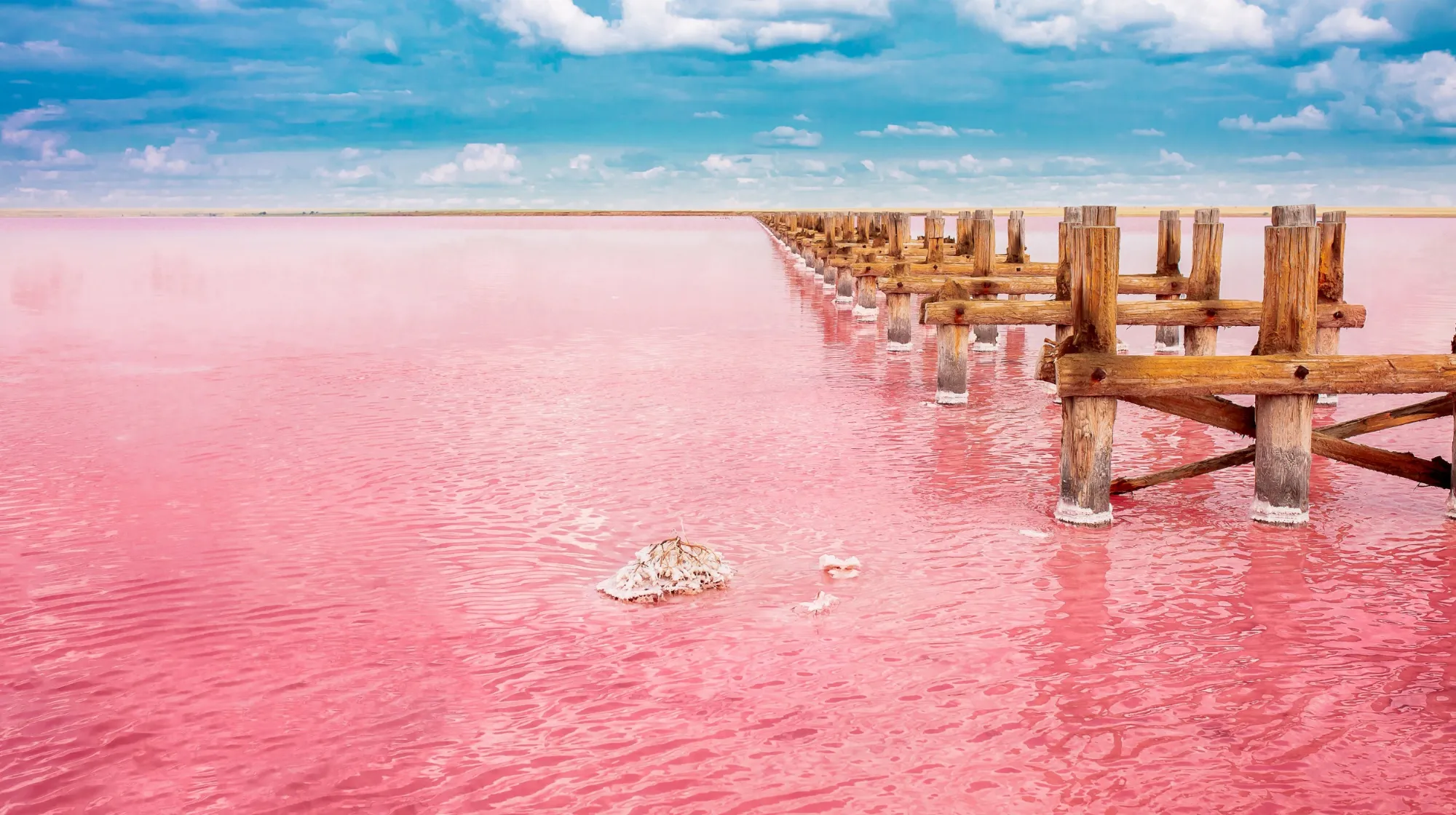 Ponton en bois sur une eau rose éclatante, offrant un paysage époustouflant et dépaysant.