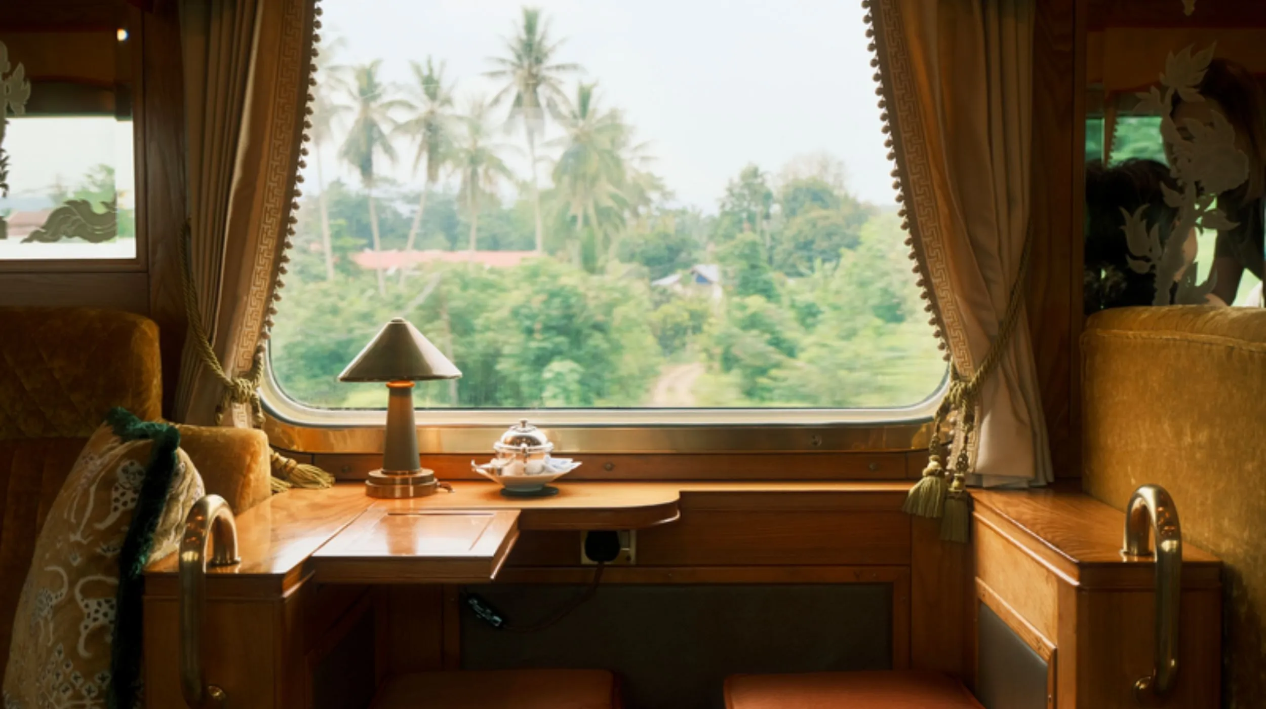Intérieur d'un train — vue paisible sur une végétation luxuriante à travers la fenêtre.