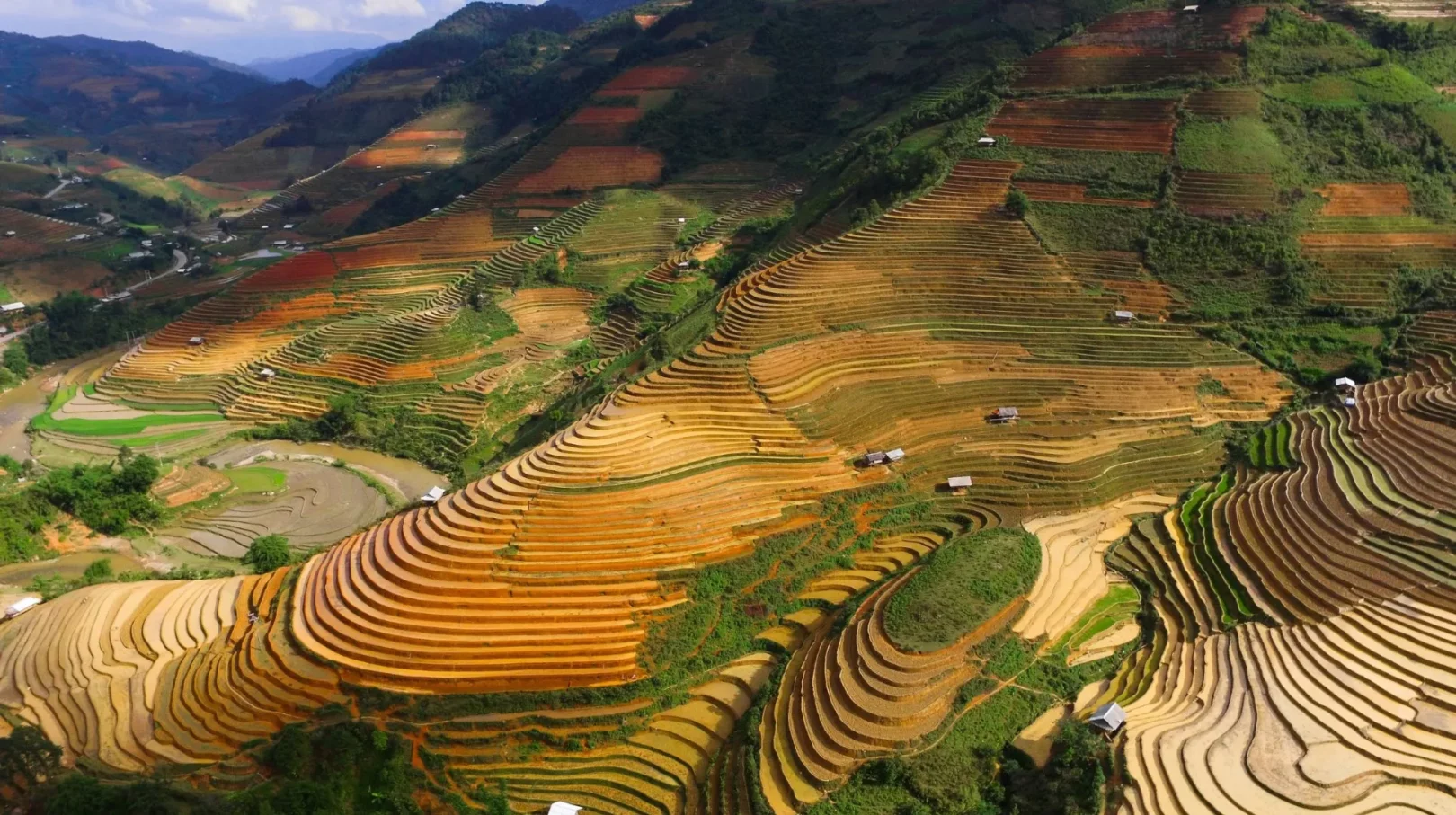 Rizières en terrasses, Vietnam — paysage époustouflant aux couleurs vibrantes et aux formes harmonieuses.