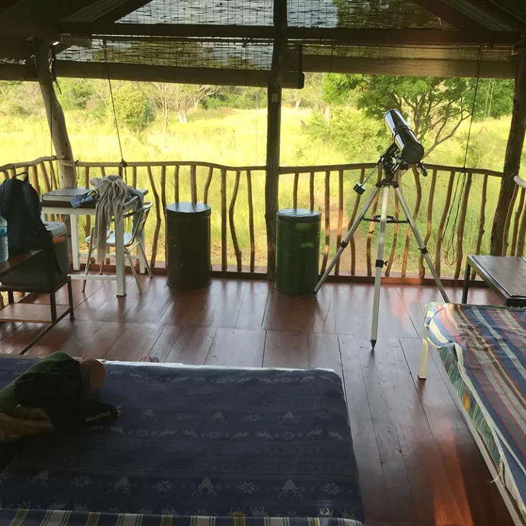 Intérieur d'une cabane en bois, entourée de verdure, offrant une vue paisible sur la nature environnante.