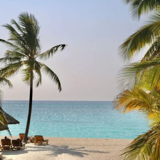 Plage paradisiaque, Maldives — laissez-vous envoûter par les eaux turquoise et le doux murmure des palmiers.