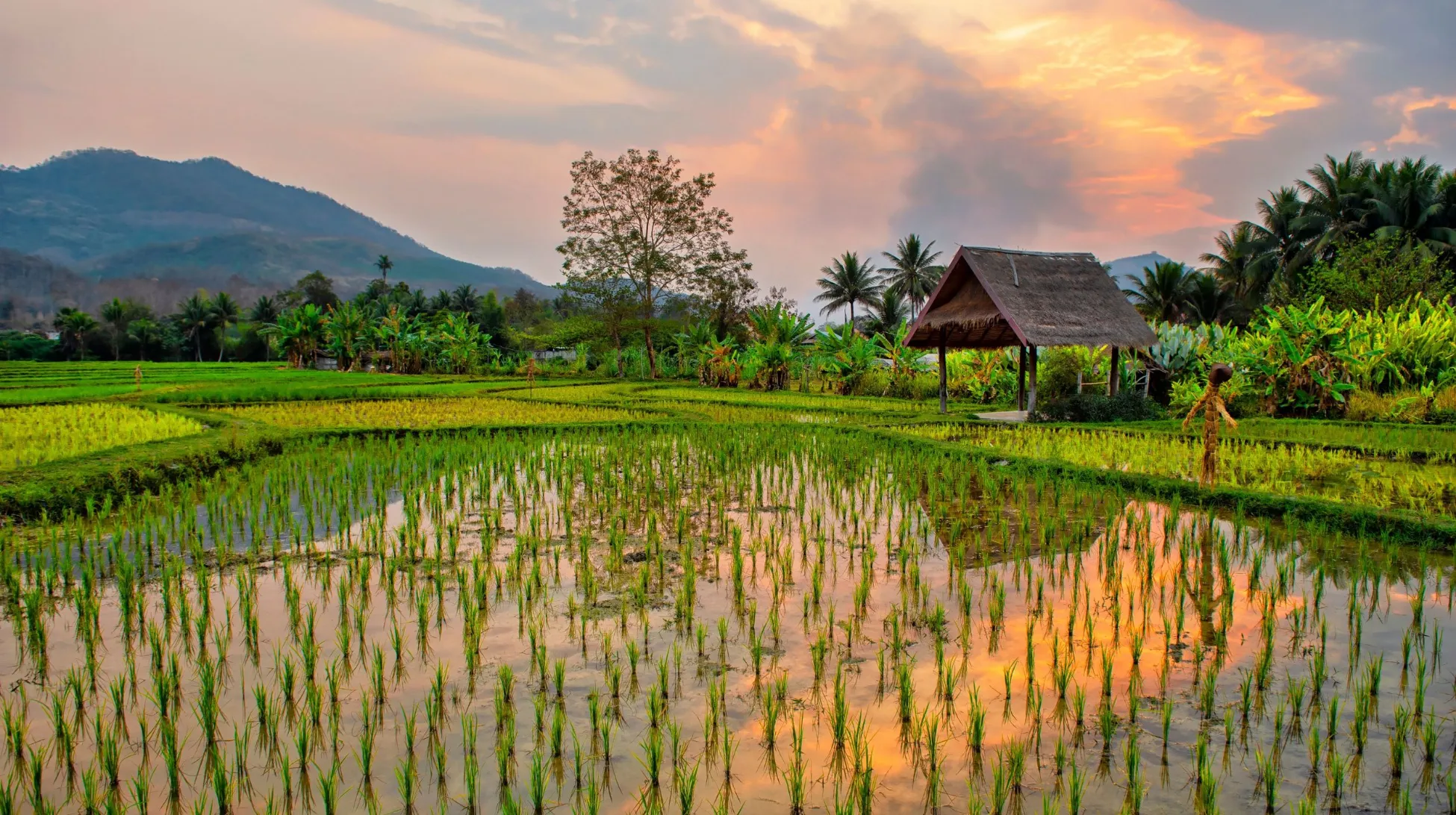 Take it easy : Laos