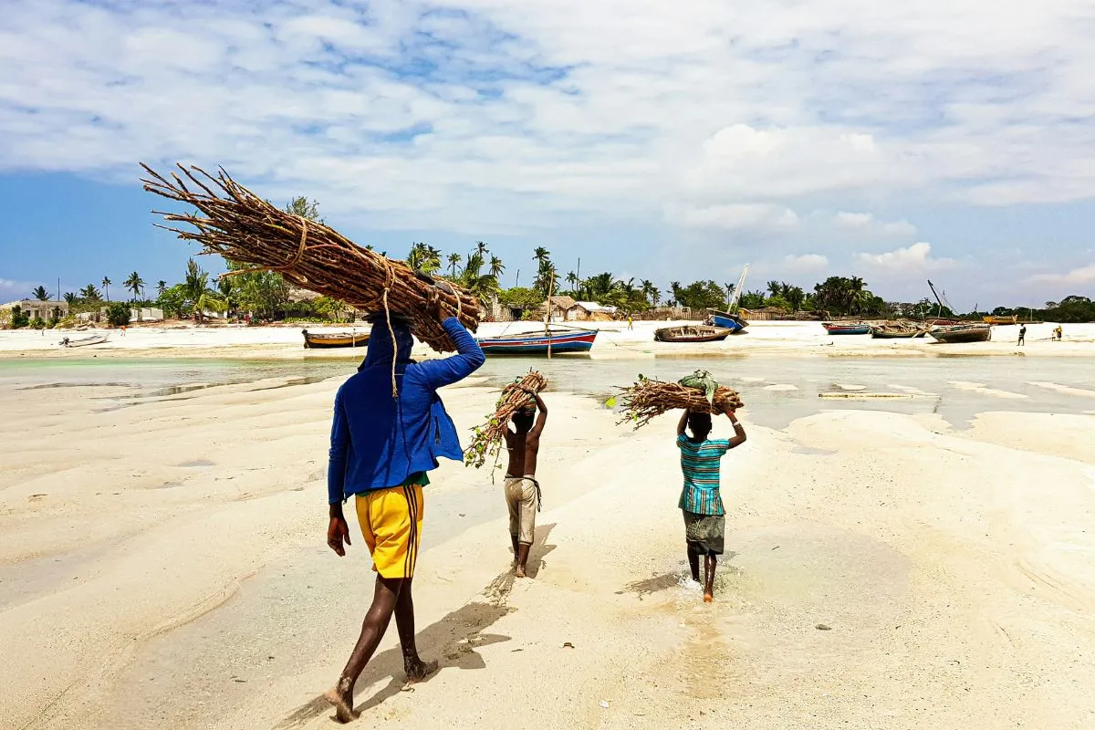 Scène paisible sur une plage, où l'on découvre des enfants et un adulte portant des branches, invitant à l'exploration authentique.