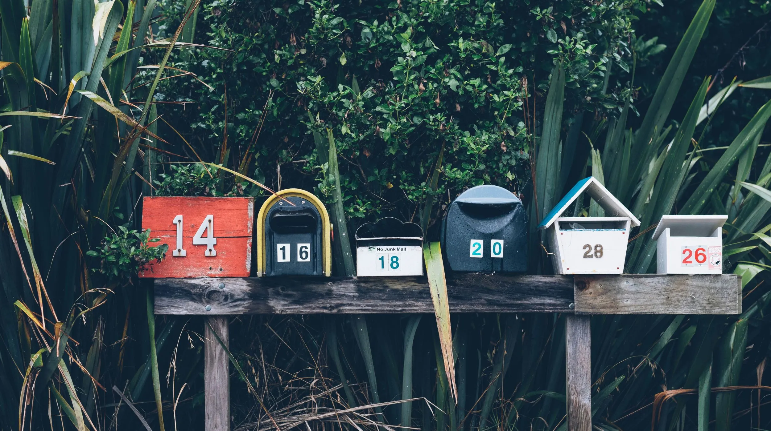Boîtes aux lettres colorées et originales, entourées de verdure luxuriante.