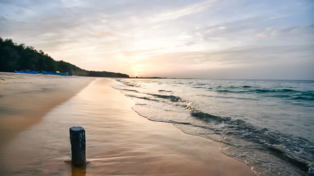 Un été au Sri Lanka