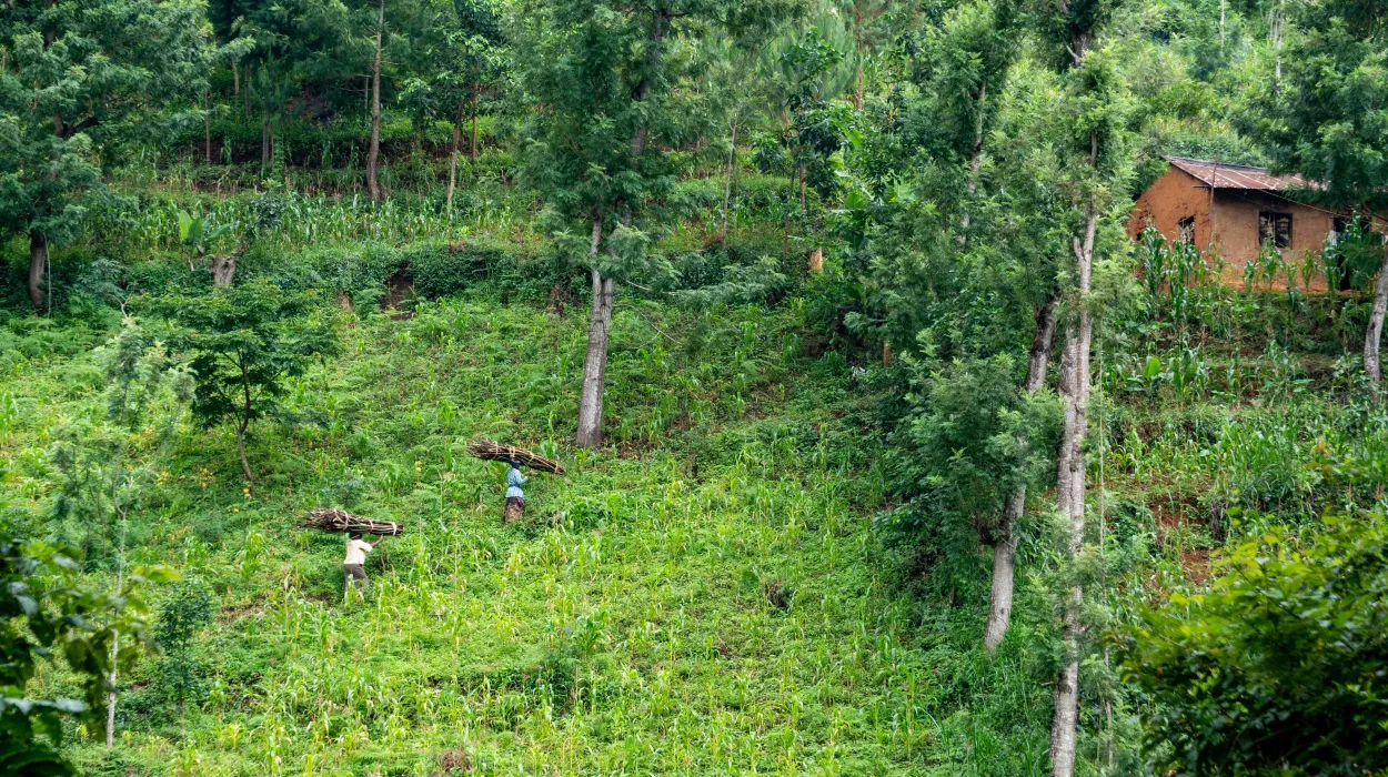 Scène rurale paisible avec des travailleurs dans un paysage verdoyant et luxuriant.