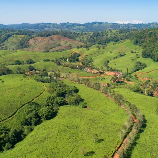 Évasion verdoyante en Sri Lanka — explorez les collines luxuriantes et laissez-vous envoûter par la nature préservée.