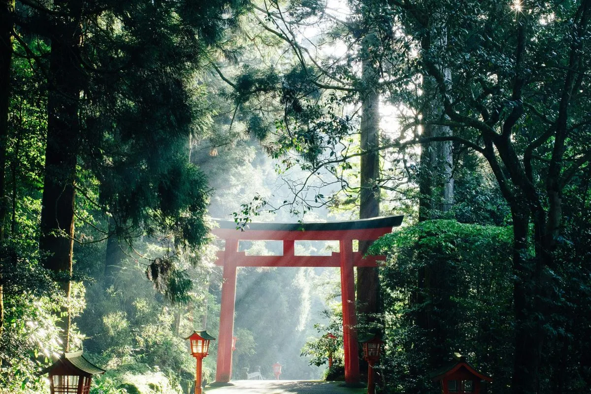 Chemin forestier menant à un torii traditionnel japonais, éclairé par la lumière du soleil – destination nature et spiritualité au Japon.