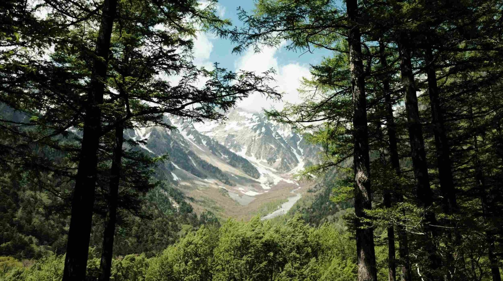 Paysage de montagne à Kamikochi dans les Alpes japonaises en été, forêt verdoyante et sommets enneigés – destination nature au Japon